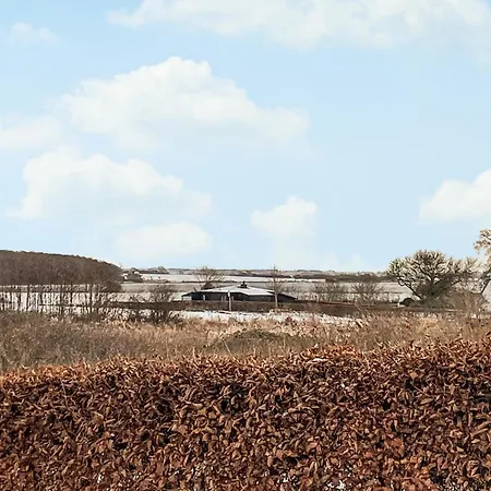 Vakantiehuis 3 Bedroom In Haarby